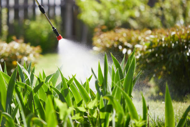 24/7 Emergency Mosquito Control experts in Albion, NE