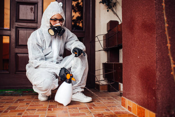 Reliable Mosquito Control contractor in Albion, NE by Show Me Pest Control